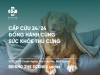 Cấp Cứu 24/7 Đồng Hành Cùng Sức Khỏe Thú Cưng Mỗi Ngày
