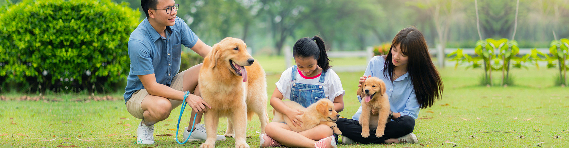 Banner đặt lịch