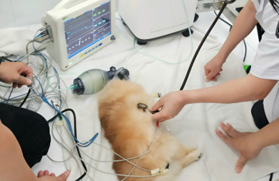 Cấp Cứu 24/7