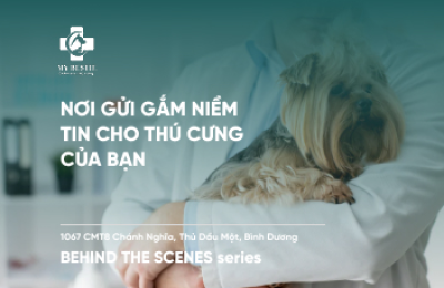 My Bestie Nơi Gửi Gắm Niềm Tin Cho Thú Cưng Của Bạn